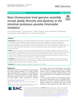 Near-Chromosome Level Genome Assembly Reveals Ploidy Diversity and Plasticity in the Intestinal Protozoan Parasite Entamoeba Histolytica