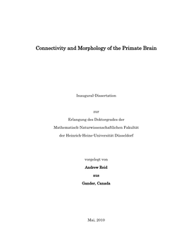 Connectivity and Morphology of the Primate Brain