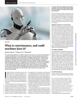 What Is Consciousness and Could Machines Have