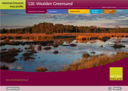 Wealden Greensand Area Profile: Supporting Documents