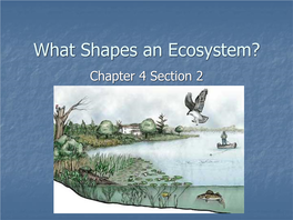 What Shapes an Ecosystem? Chapter 4 Section 2 Review: What Is an Ecosystem?