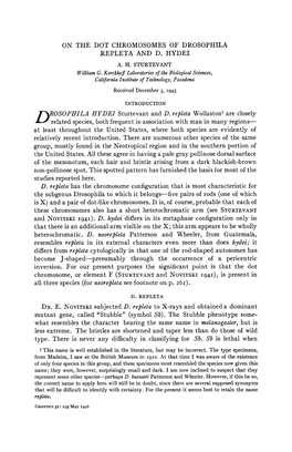 On the Dot Chromosomes of Drosophila Repleta and D