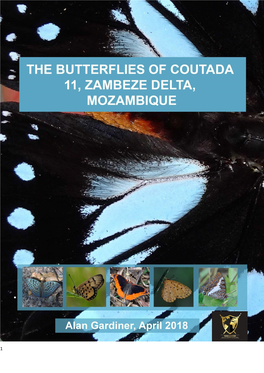 Butterflies Coutada