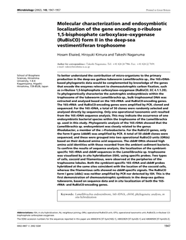 Molecular Characterization and Endosymbiotic Localization of The