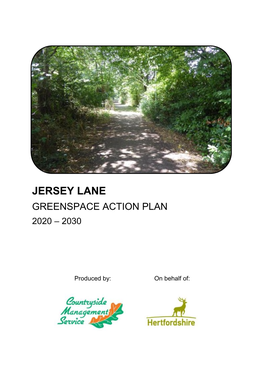 Jersey Lane Greenspace Action Plan 2020-30