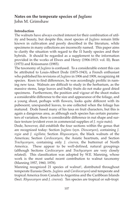 Notes on the Temperate Species of Juglans John M. Grimshaw