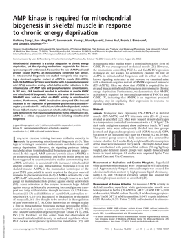 AMP Kinase Is Required for Mitochondrial Biogenesis in Skeletal Muscle in Response to Chronic Energy Deprivation