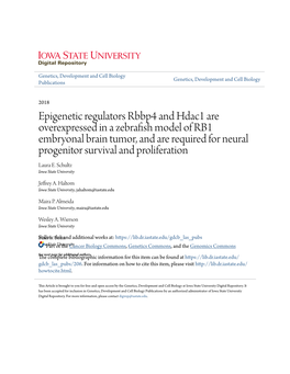 Epigenetic Regulators Rbbp4 and Hdac1 Are Overexpressed