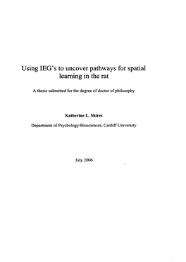 Using IEG's to Uncover Pathways for Spatial Learning in The