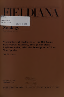 Morphological Phylogeny of the Bat Genus Platyrrhinus Saussure, 1860 (Chiroptera: Phyllostomidae) with the Description of Four New Species