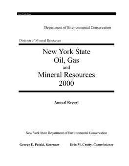 New York State Oil, Gas Mineral Resources 2000