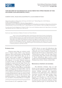 New Record of Halimedacean Algae from the Upper Triassic of the Southern Alps (Dolomites, Italy)