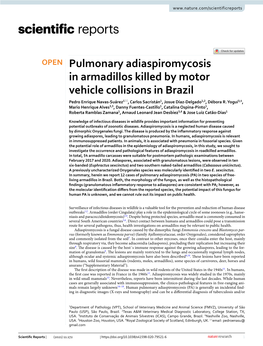 Pulmonary Adiaspiromycosis in Armadillos Killed by Motor Vehicle Collisions in Brazil Pedro Enrique Navas‑Suárez1*, Carlos Sacristán1, Josue Díaz‑Delgado1,2, Débora R