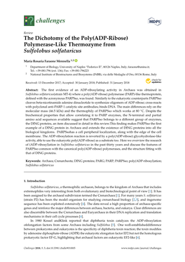 The Dichotomy of the Poly(ADP-Ribose) Polymerase-Like Thermozyme from Sulfolobus Solfataricus