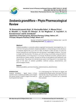 Sesbania Grandiflora – Phyto Pharmacological Review