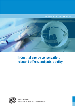 Industrial Energy Conservation, Rebound Effects and Public Policy.Pdf