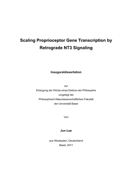Scaling Proprioceptor Gene Transcription by Retrograde NT3 Signaling
