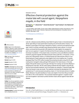 Effective Chemical Protection Against the Maize Late Wilt Causal Agent, Harpophora Maydis, in the Field