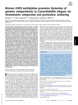 Histone H3K9 Methylation Promotes Formation of Genome Compartments in Caenorhabditis Elegans Via Chromosome Compaction and Perinuclear Anchoring