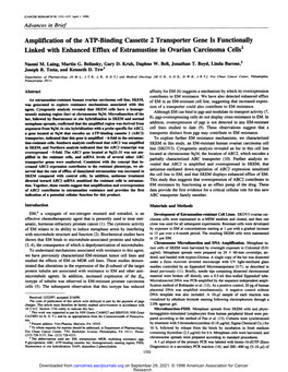 Amplification of the ATP-Binding Cassette 2 Transporter Gene Is Functionally Linked with Enhanced Efflux of Estramustine in Ovarian Carcinoma Cells1