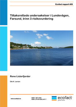Tiltaksrettede Undersøkelser I Lundevågen, Farsund, Trinn 3 Risikovurdering