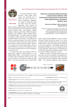 Notes on the Eastern Comma Polygonia C-Album Agnicula Moore, 1872 (Lepidoptera: Nymphalidae: Nymphali- Nae) from Tawang District, Arunachal Pradesh, India