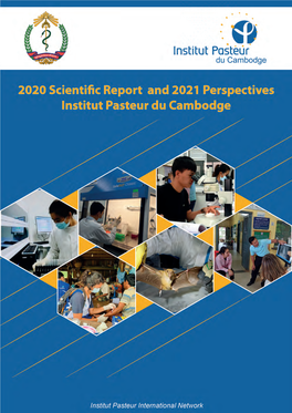 2020 Report in PDF Format