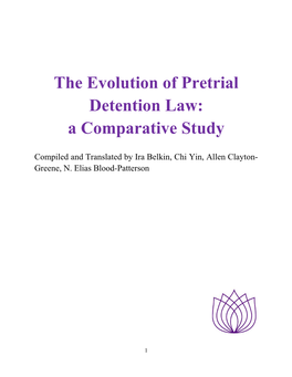 The Evolution of Pretrial Detention Law: a Comparative Study