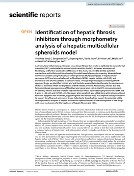 Identification of Hepatic Fibrosis Inhibitors Through Morphometry Analysis of a Hepatic Multicellular Spheroids Model