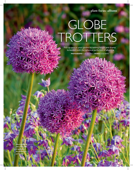 Plant Focus: Alliums