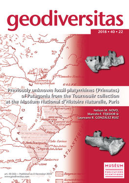 Primates) of Patagonia from the Tournouër Collection at the Muséum National D’Histoire Naturelle, Paris