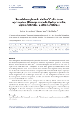 Sexual Dimorphism in Shells of Cochlostoma Septemspirale