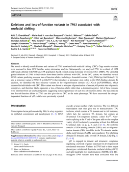 TP63 Associated with Orofacial Clefting