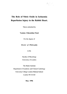 The Role of Nitric Oxide in Ischaemia Reperfusion Injury in the Rabbit Heart