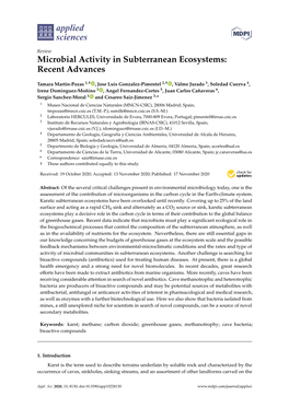 Microbial Activity in Subterranean Ecosystems: Recent Advances