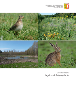 Jagd- Und Artenschutzbericht 2013 Verfasst