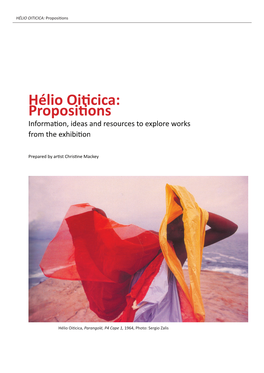 HÉLIO OITICICA: Propositi Ons