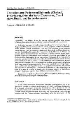 The Oldest Pre-Podocnemidid Turtle (Chelonii, Pleurodira), from the Early Cretaceous, Ceará State, Brasil, and Its Environment