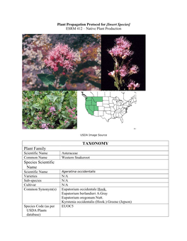 TAXONOMY Plant Family Species Scientific Name