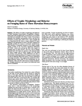 Effects of Trophic Morphology and Behavior on Foraging Rate of Three Hawaiian Honeycreepers