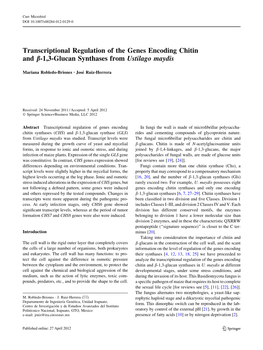 Transcriptional Regulation of the Genes Encoding Chitin and B-1,3-Glucan Synthases from Ustilago Maydis