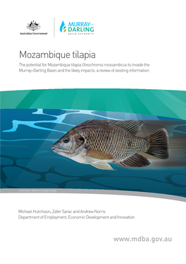 The Potential for Mozambique Tilapia Oreochromis Mossambicus to Invade the Murray–Darling Basin and the Likely Impacts: a Review of Existing Information
