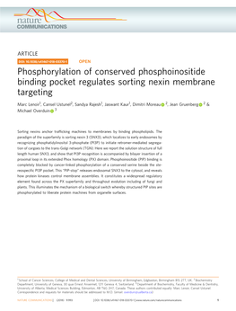 Phosphorylation of Conserved Phosphoinositide Binding Pocket Regulates Sorting Nexin Membrane Targeting
