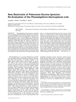 Re-Evaluation of the Plesiadapiform-Dermopteran Link