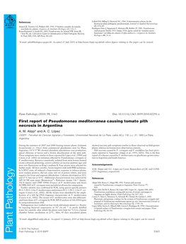 First Report of Pseudomonas Mediterranea Causing Tomato Pith Necrosis in Argentina A