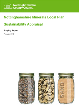 What Is Sustainability Appraisal?