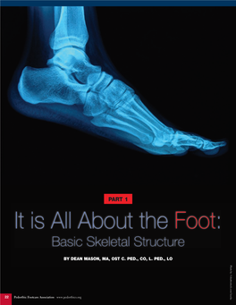 It Is All About the Foot: Basic Skeletal Structure