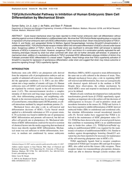 Tgfb/Activin/Nodal Pathway in Inhibition of Human Embryonic Stem Cell Differentiation by Mechanical Strain