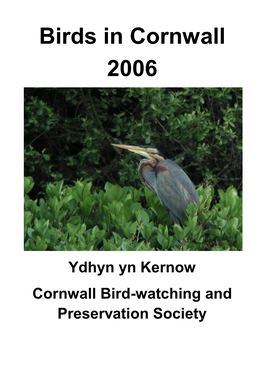 Birds in Cornwall 2006