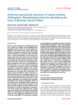 Antennal Epicuticular Structure of Camel Crickets (Orthoptera: Rhaphidophoridae) for Identifying the Prey of Mustella Sibrica Pallas